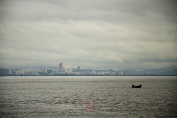 深圳灣畔的城市