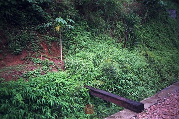 N0302_缩小大小_1.jpg