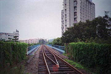 N0309_缩小大小.jpg