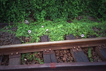N0311_缩小大小.jpg