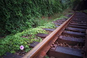 N0316_缩小大小.jpg