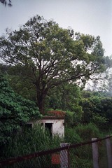 N0319_缩小大小.jpg
