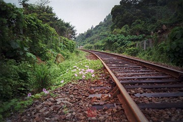 N0321_缩小大小.jpg