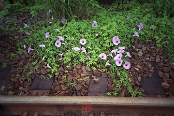 N0322_缩小大小.jpg