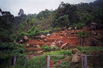 N0323_缩小大小.jpg