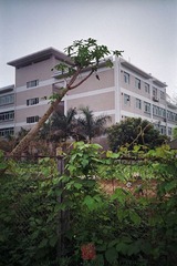 N0324_缩小大小.jpg