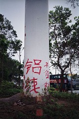 N0326_缩小大小.jpg