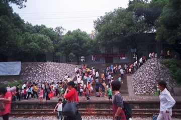 IMG_1285-1.jpg