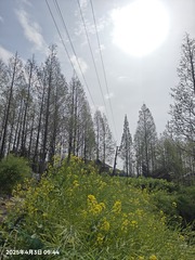 1000458276