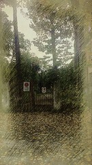 WP_20131022_051_