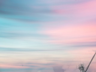 585