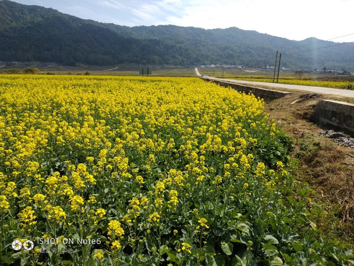三里清风三里路步910