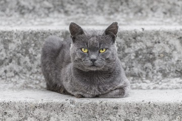 24069