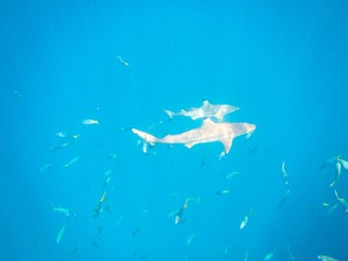 20190304-IMG_5620