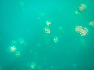 20190304-IMG_5992