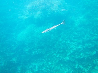 20190305-IMG_0231