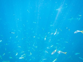 20190304-IMG_5696