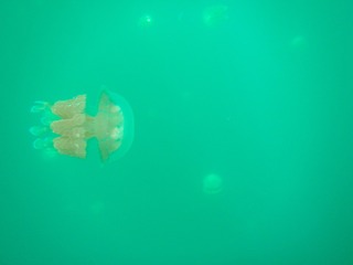 20190304-IMG_5904