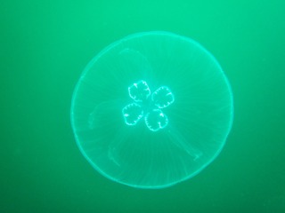 20190304-IMG_6011
