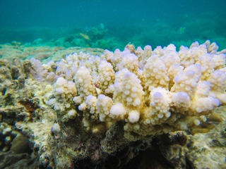 20190305-IMG_0297