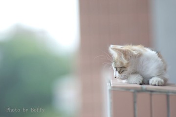 左看看