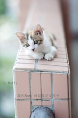 这角度还行