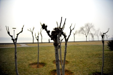 _DSC0690.jpg