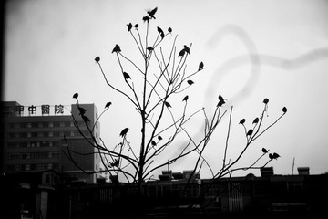 _DSC0742.jpg