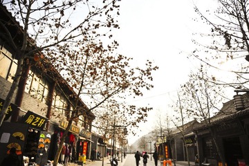 _DSC0801.jpg
