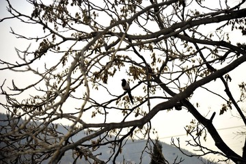 _DSC0863.jpg