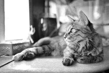DSC_0104.JPG