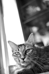 DSC_0082.JPG
