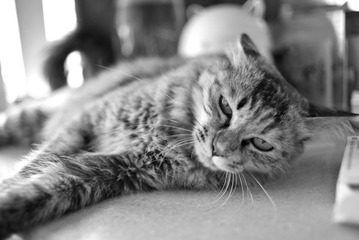 DSC_0086.JPG