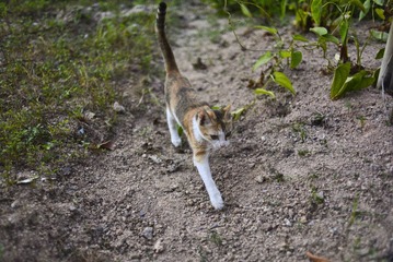 DSC_0137-2.jpg