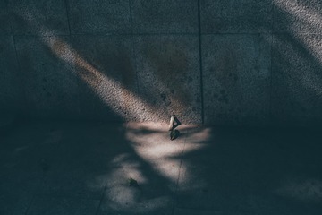 2865A6AF-0EF1-4555-B504-7E4561D9B08D/L0/001