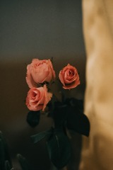 EB6DA7BF-6E99-4FE0-BD86-8EDC0C035F9E/L0/001
