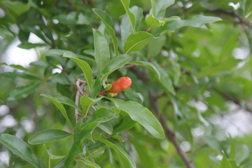 DSC00553.JPG