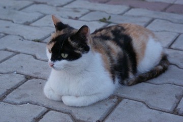 DSC01356.JPG