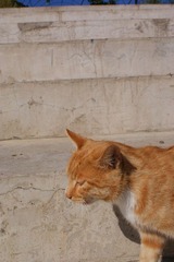 DSC04143.JPG