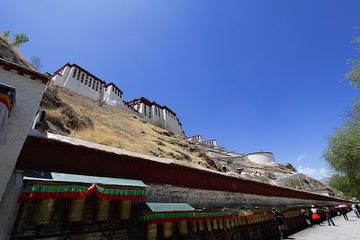 _MG_2074.jpg