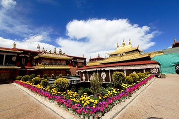 _MG_2135.jpg