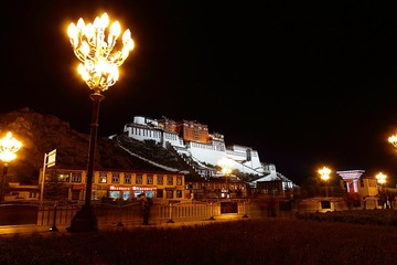 _MG_2317.jpg