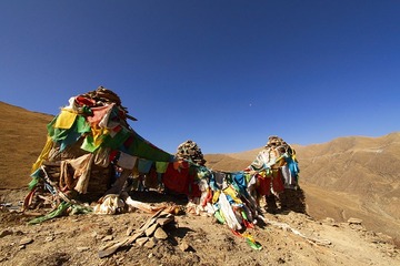 _MG_2333.jpg