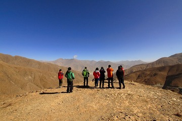 _MG_2335.jpg