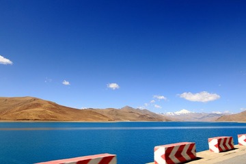_MG_2385.jpg