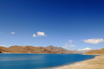 _MG_2389.jpg