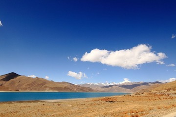 _MG_2392.jpg