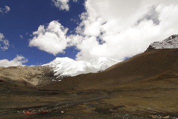 _MG_2413.jpg