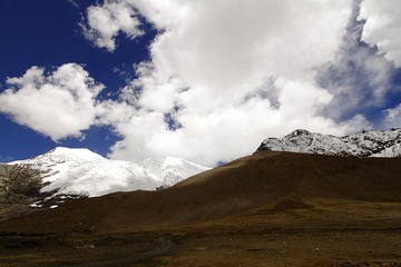 _MG_2415.jpg