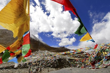 _MG_2426.jpg